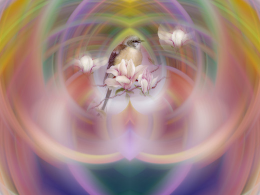 14229 (a): :1024x768